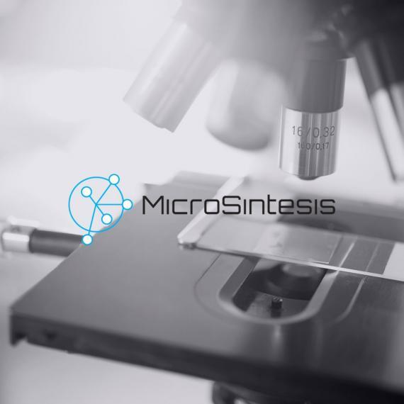 MicroSintesis logo overlaid on microscope image