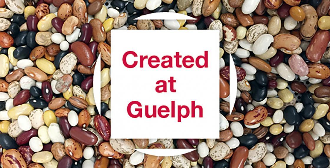 Image of beans and Created at Guelph logo