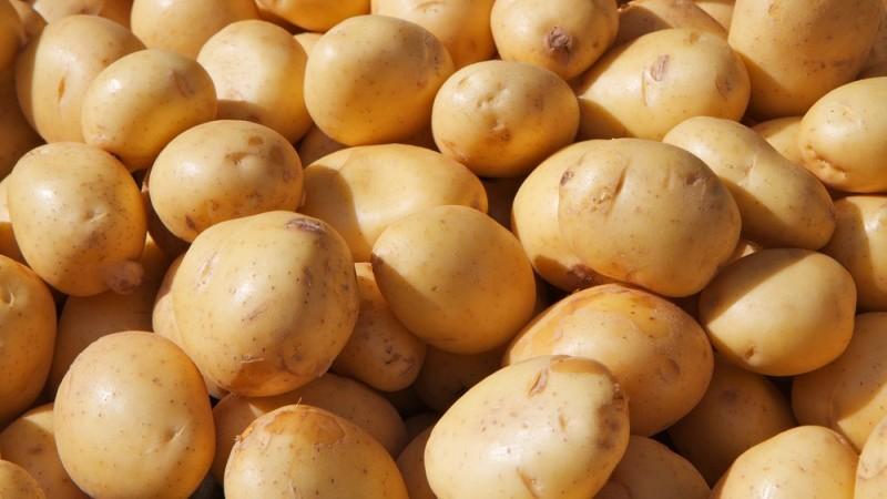 Close up of Yukon Gold Potatoes