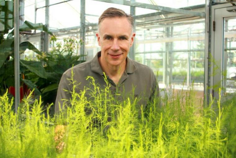 Dave Wolyn pictured with young asparagus sprouts.