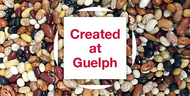 Image of beans and Created at Guelph logo