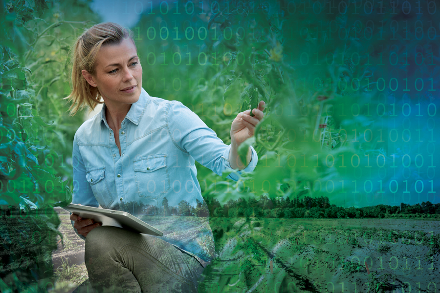 Image of woman holding iPad surrounded by plants