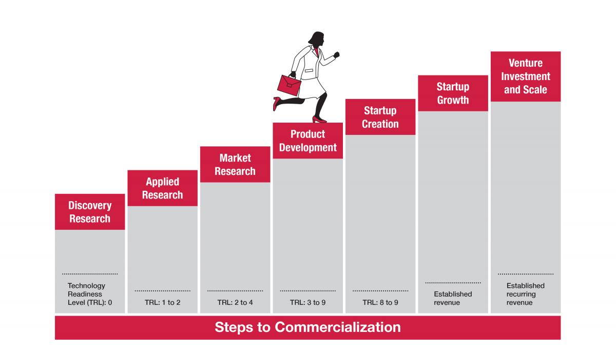 Steps to Commercialization Graphic. Discovery Research > Applied Research > Market Research > Product Development > Startup Creation > Startup Growth > Venture Investment and Scale