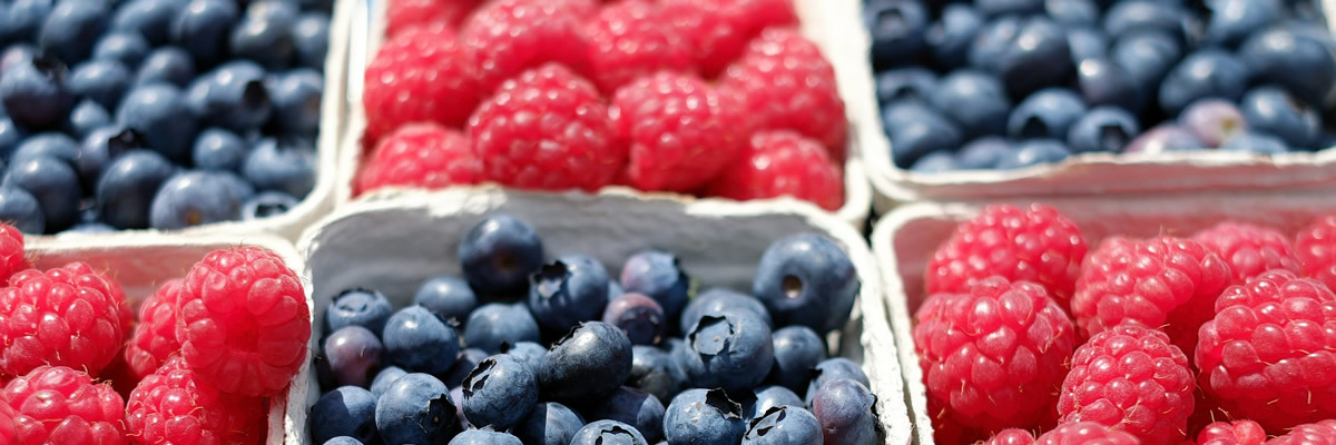 Blueberries and rasperries in containers