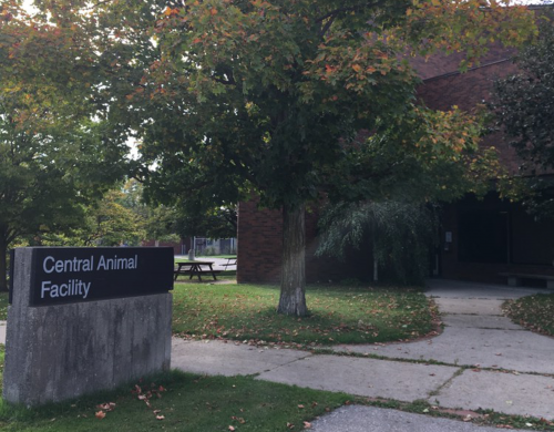 Central Animal Facility building