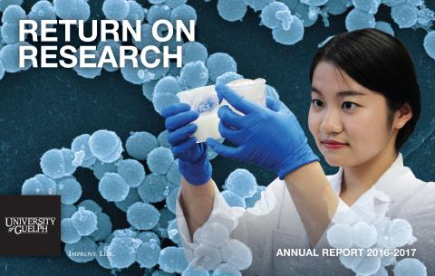 Cover of Return on Research 2016-17