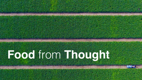 Photo of a field from a drone view