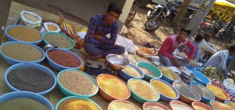 Two people sitting around bowls of grain and seed