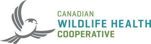 Logo for Canadian Co-operative Wildlife Health Centre