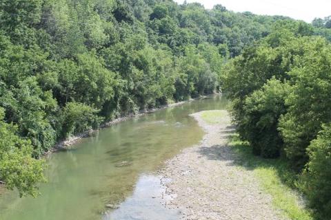 Photo of the Grand River