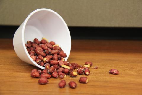 Photo of a pile of shelled Garroy peanuts