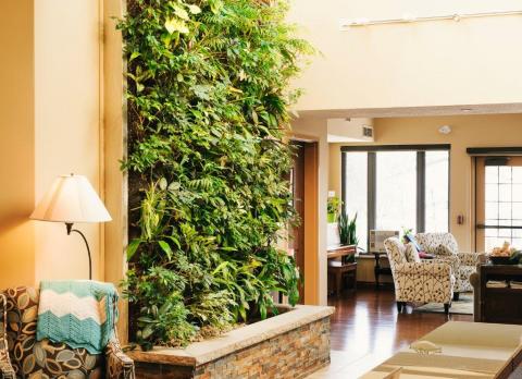Photo of a living wall in a building