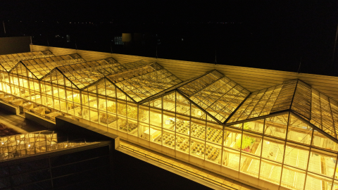 University of Guelph's Phytotron Facility as it glows at night.
