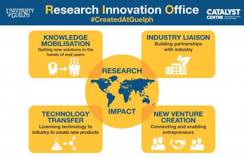 Graphic outlining the Research and Innovation Office priorities