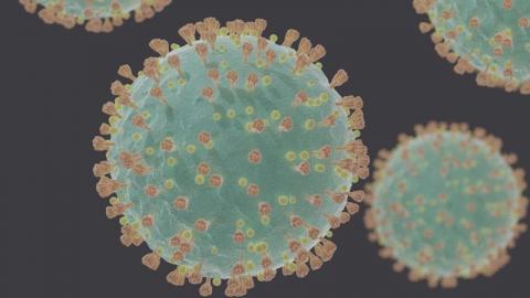 An artist's rendition of COVID-19 virus particles