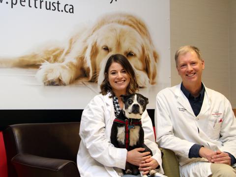 A woman with brown, shoulder-length hair wearing a white lab coat sits with a black and white small dog who wears a red harness and a tag that says "Alfred."  To the right of her sits a man with blond hair, who is wearing a white lab coat.  They are both smiling.  Behind them is a poster of a golden retreiver, lying down and the text "pettrust.ca"