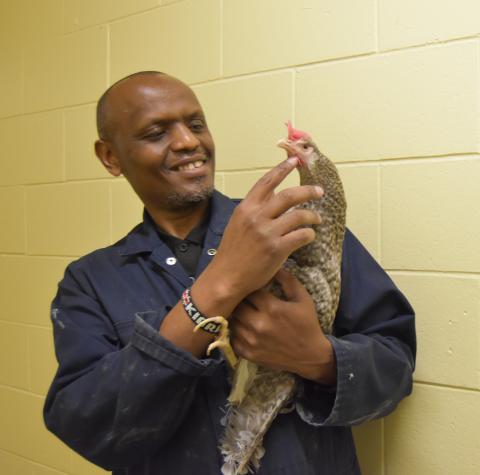 Prof. Elijah Kiarie, Department of Animal Biosciences