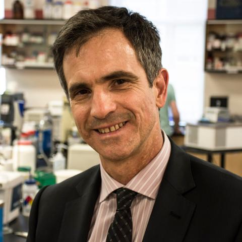 Headshot of Dr. Alejandro Marangoni