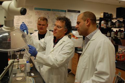 Profs. Jim Petrik, Marc Coppolino and Paul Spagnuolo