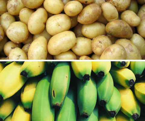 On top is a picture of potatoes and on the bottom is a picture of bananas.