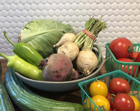 Ontario produce on a counter - tomatoes in green plastic baskets, cabbage, cucumbers parsnips and beets in a bowl