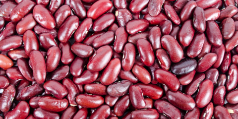 Red kidney beans