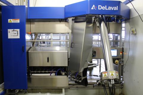 A silver and blue robotic milking system for cows