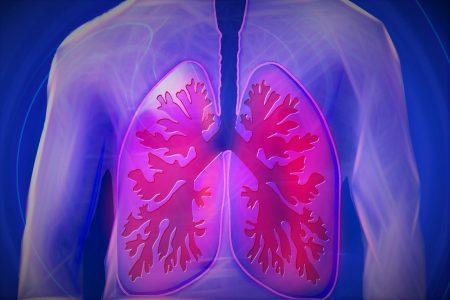 Graphic image of lungs