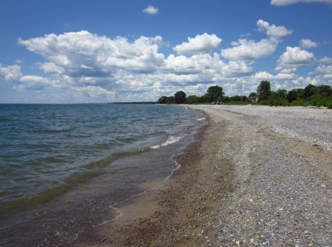 Photo of a beach