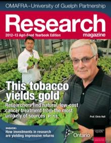 This Research Yield Gold thumbnail