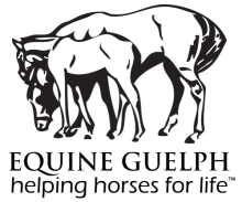 Logo for Equine Guelph