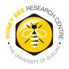 Logo for the Honey Bee Research Centre, featuring the illustration of a bee in a honeycomb cell