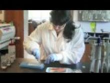 Centre for Biodiversity Genomics thumbnail
