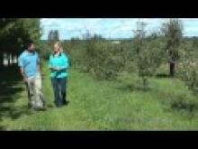 Local food hubs:  Building regional food hubs helps the local economy thumbnail