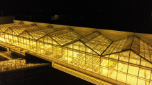 University of Guelph's Phytotron Facility as it glows at night.