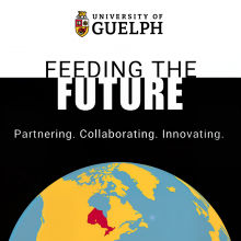 A graphic for Feeding the Future