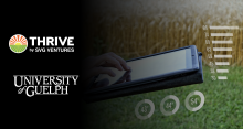 Montage: SVG Thrive Logo, U of G Logo, woman standing in front of a field with her hand on a laptop. 