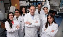 Dr. Shayan Sharif and his lab team, left to right: Dr. Fatemeh Fazel, Janan Shoja Doost, Maya Dayoub, Dr. Shayan Sharif, Dr. Nitish Boodhoo, Marzieha Soltani Koupaei and Mina Khoshbazm Farimeni