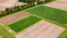 Test crops at the Ontario Crops Research Centre - Ridgetown