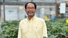 Dr. Youbin Zheng in a greenhouse with plants in the background.