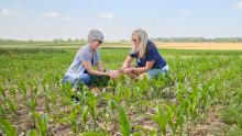 Drs. Claudia Wagner-Riddle (left) and Kari Dunfield at the Ontario Crops Research Centre in Elora.