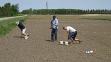 Soil sampling in the field