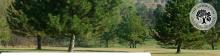 Banner for Arboretum Gene Bank