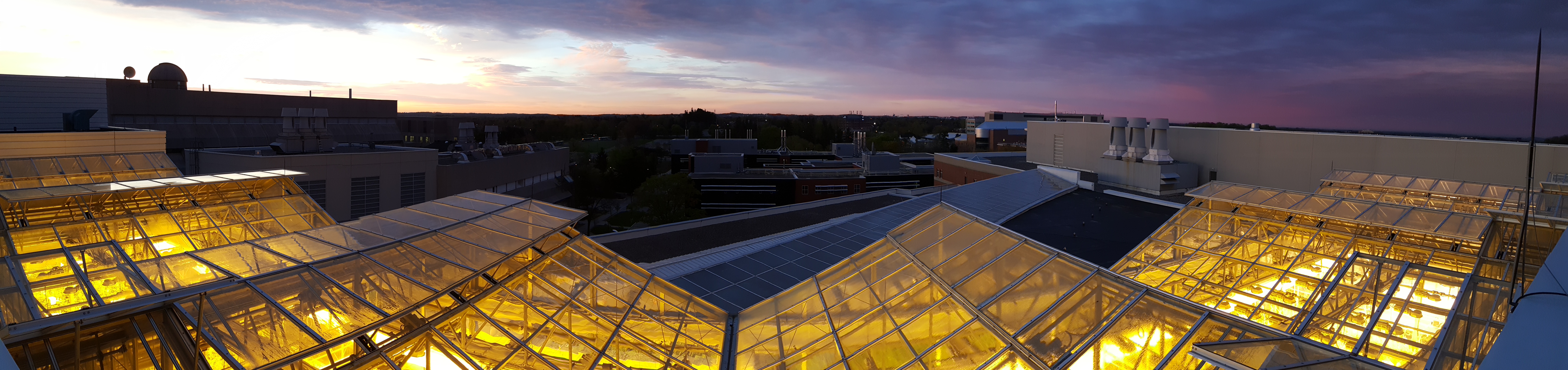 Greenhouse at dawn