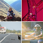 Four images of a women sitting in the hills, liquid oil, a chicken on the road, and a bee keeper and their bees