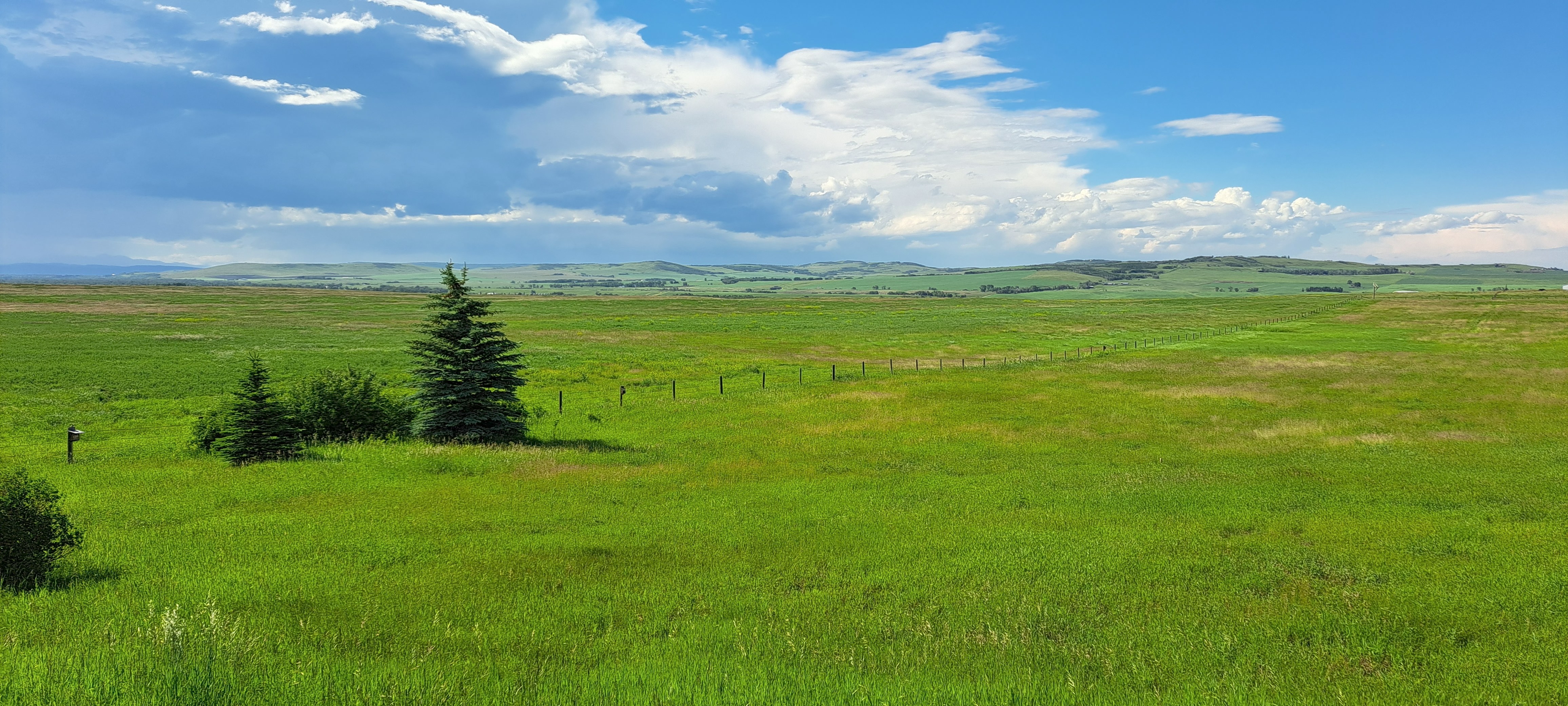 A green pasture with some trees on the left and hills on the background