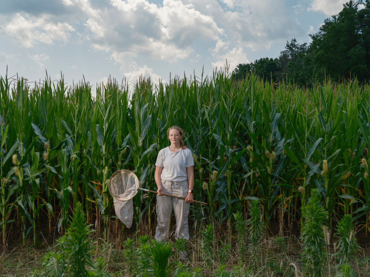A woman standing in a crop field.