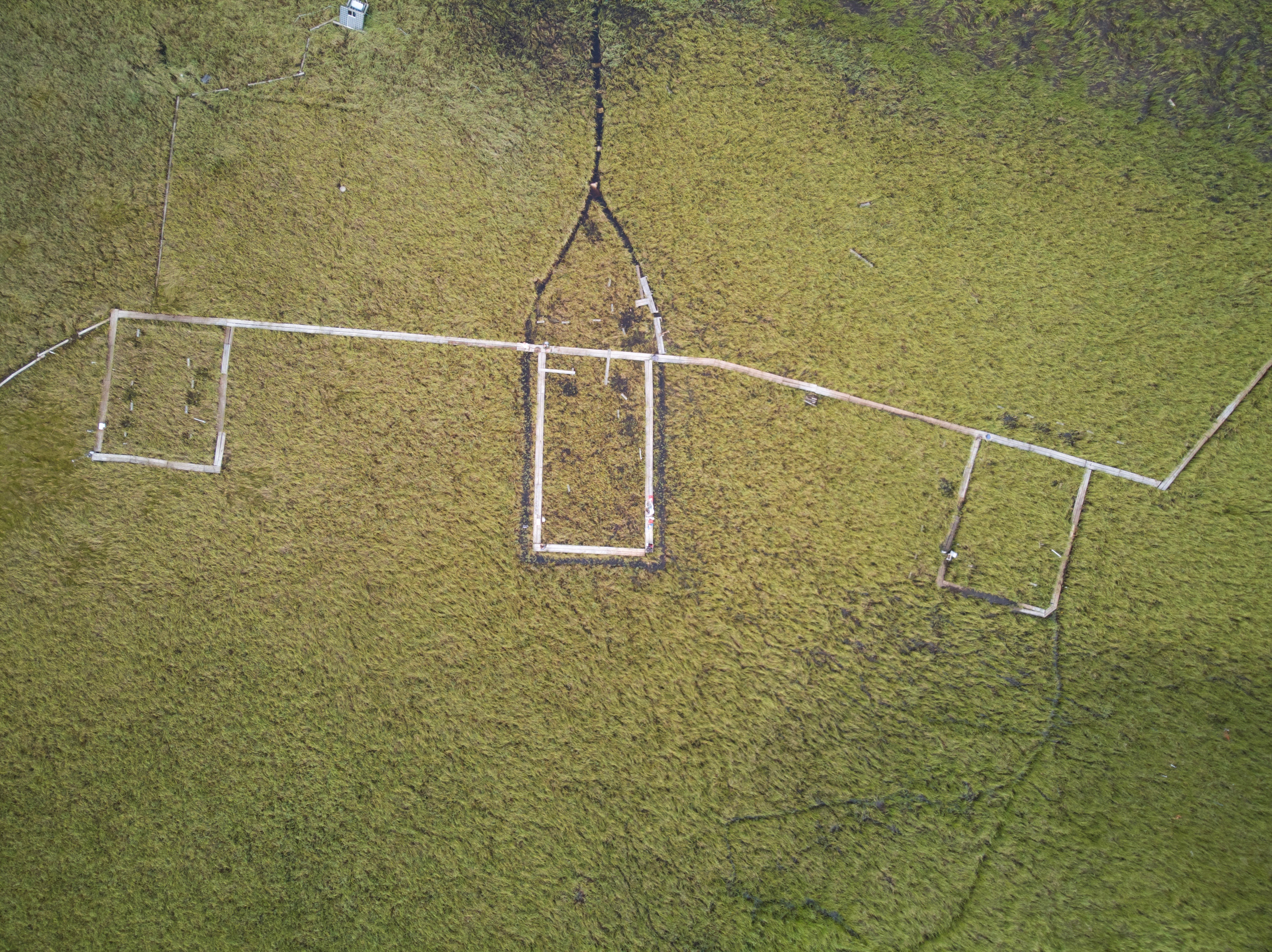 Aerial image of the Alaska Peatland Experiment