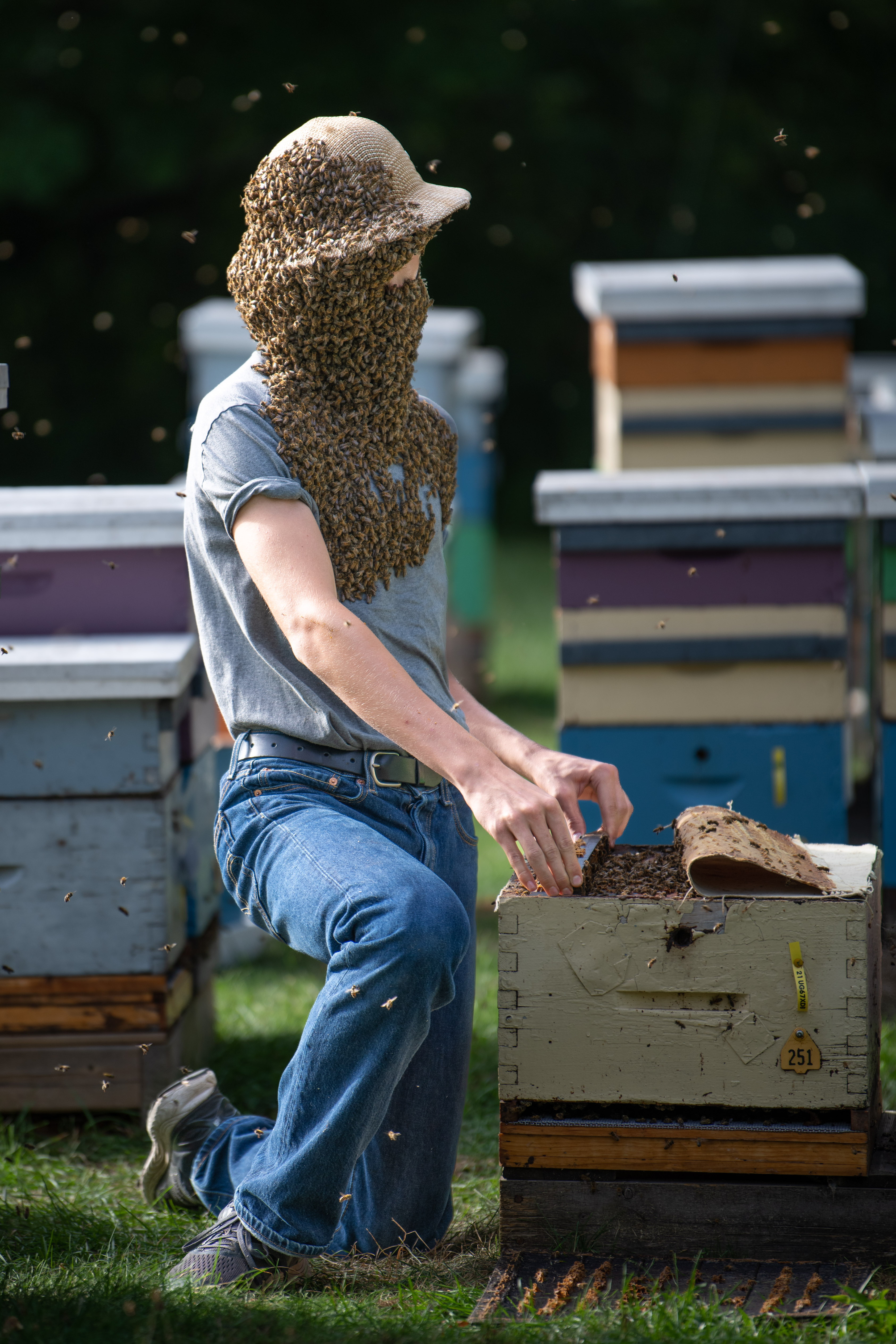 A beekeeper with his head and shoulders covered in bees