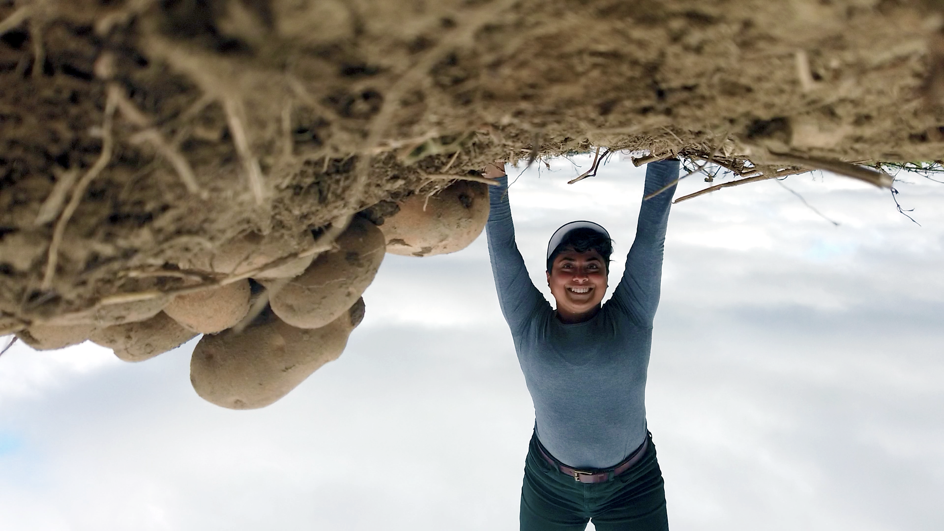 A woman standing upside down in a potato field